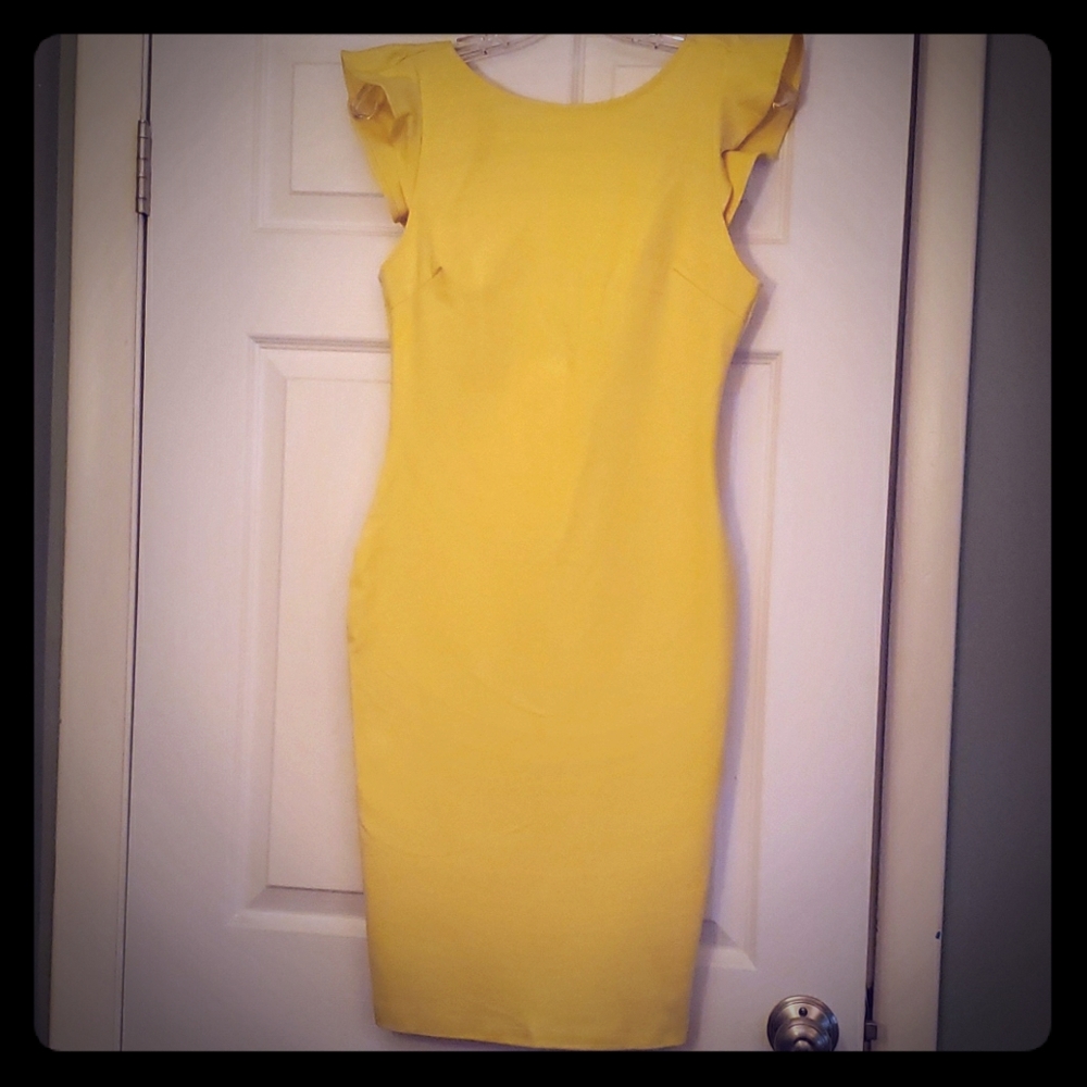 Form fitting dress